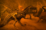 恐龙灭绝的原因及相关调查研究