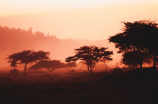 探秘非洲大陆：非洲地图详尽介绍
